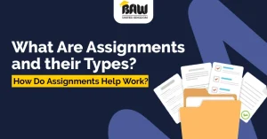 what-are-assignment-and-their-types